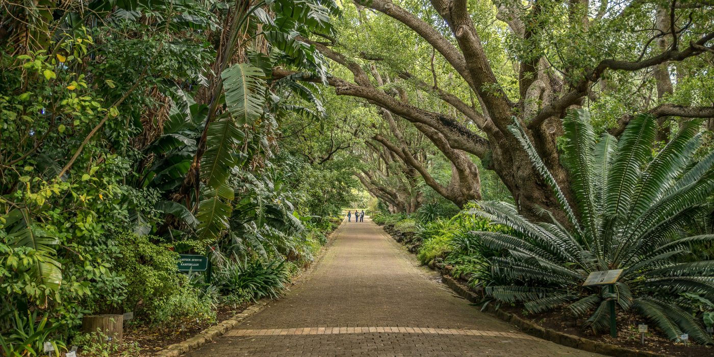 Combien de temps faut-il pour visiter Terra Botanica ?