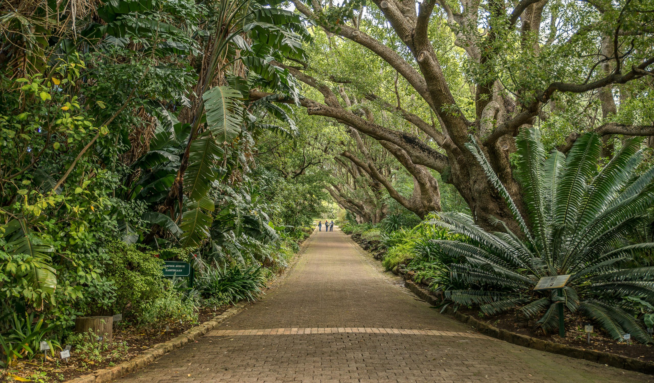 Terra Botanica durée de visite