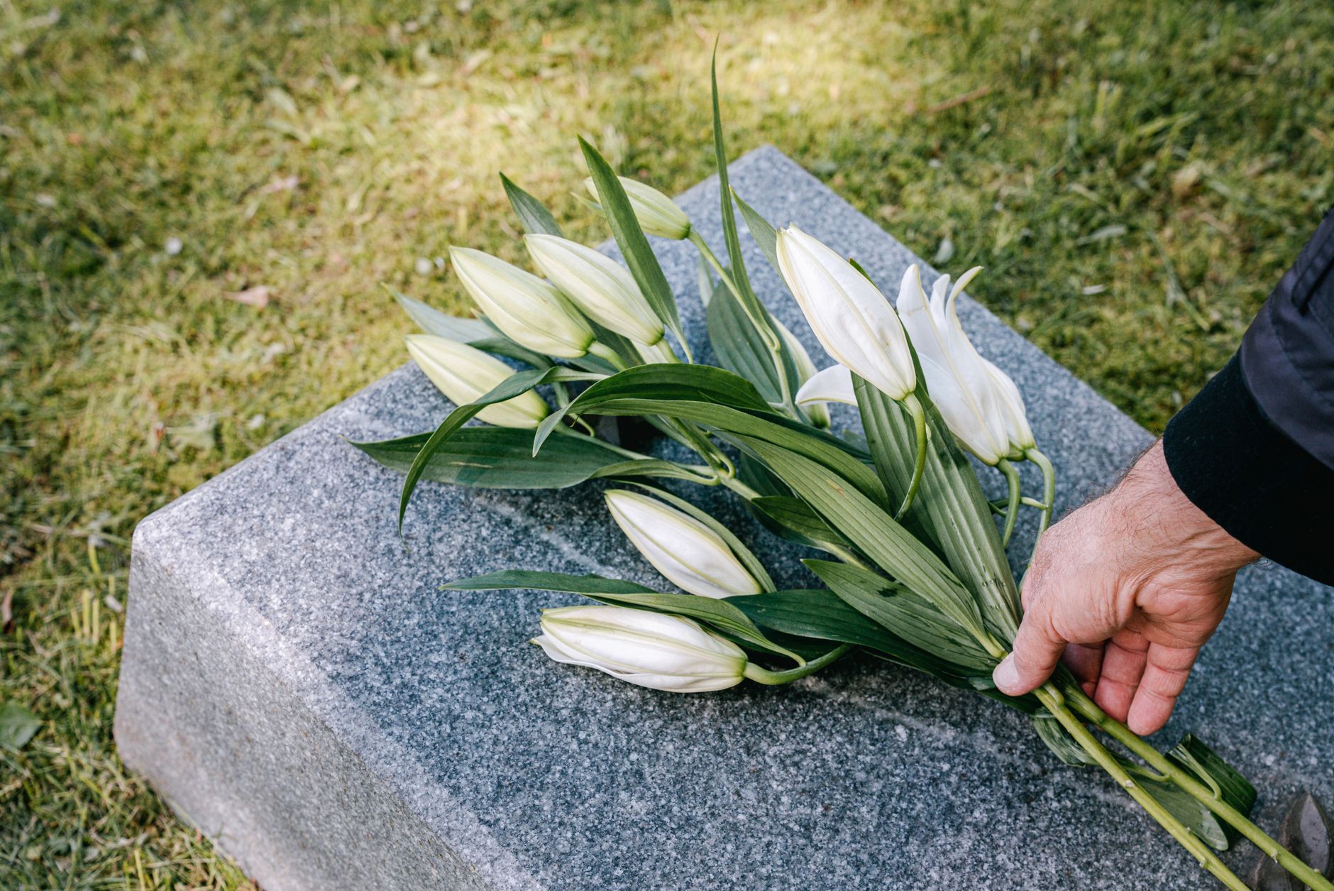 Lys blancs posés sur une pierre tombale